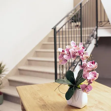 Mazzini 66 Διαμέρισμα Lugo (Ravenna)